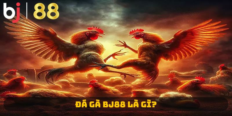 Đá gà BJ88 là gì? 